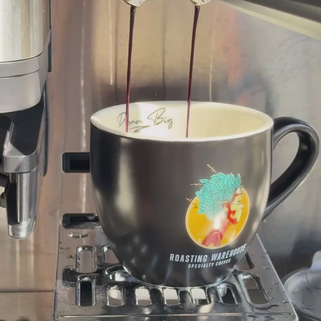 Light Roast Bundle